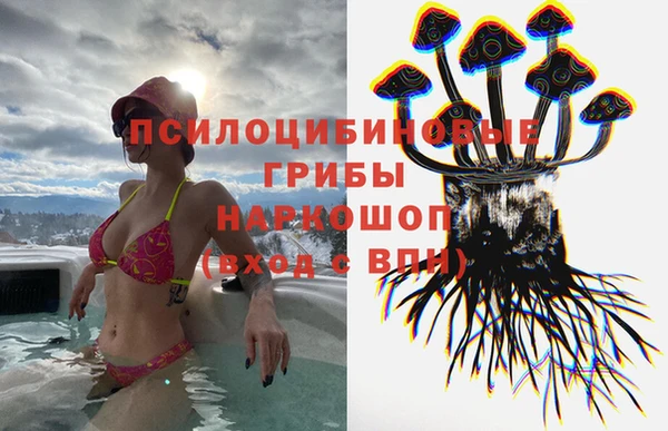стаф Алексеевка