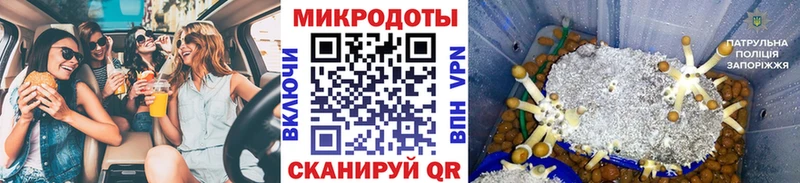 купить наркотик  Грязи  это Telegram  Псилоцибиновые грибы ЛСД 
